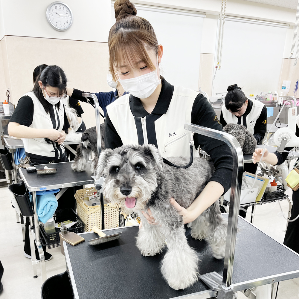 ２年生のトリミング実習♪